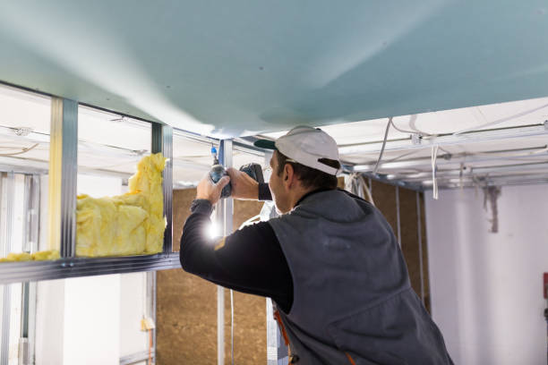 Best Cellulose Insulation in Wiggins, CO